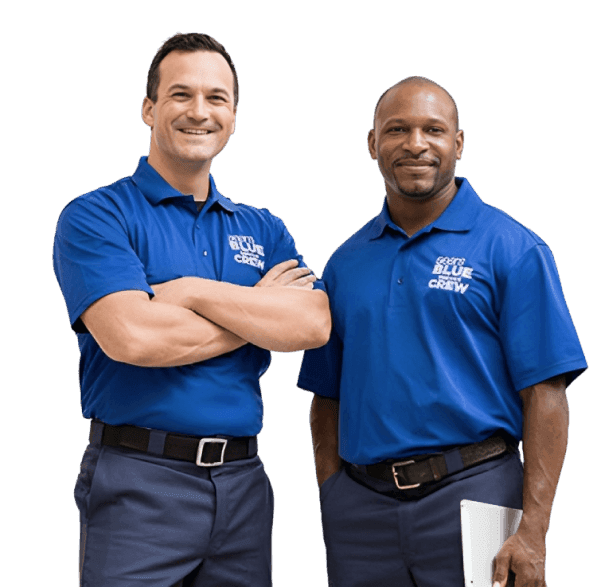 Professional cleaning technicians